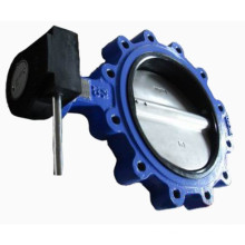 Ductile Iron Lug Type Butterfly Valve with Gear Operator